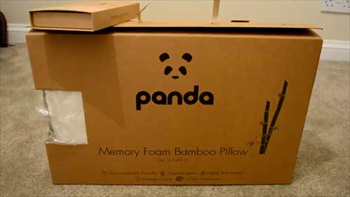 Panda 2024 life pillow