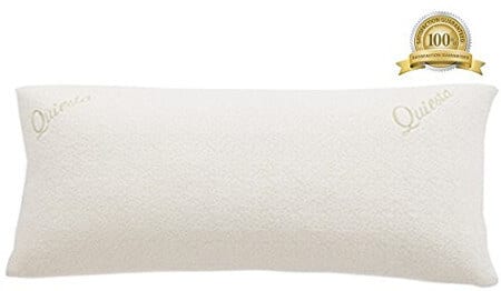 quiesta-memory-flake-body-pillow