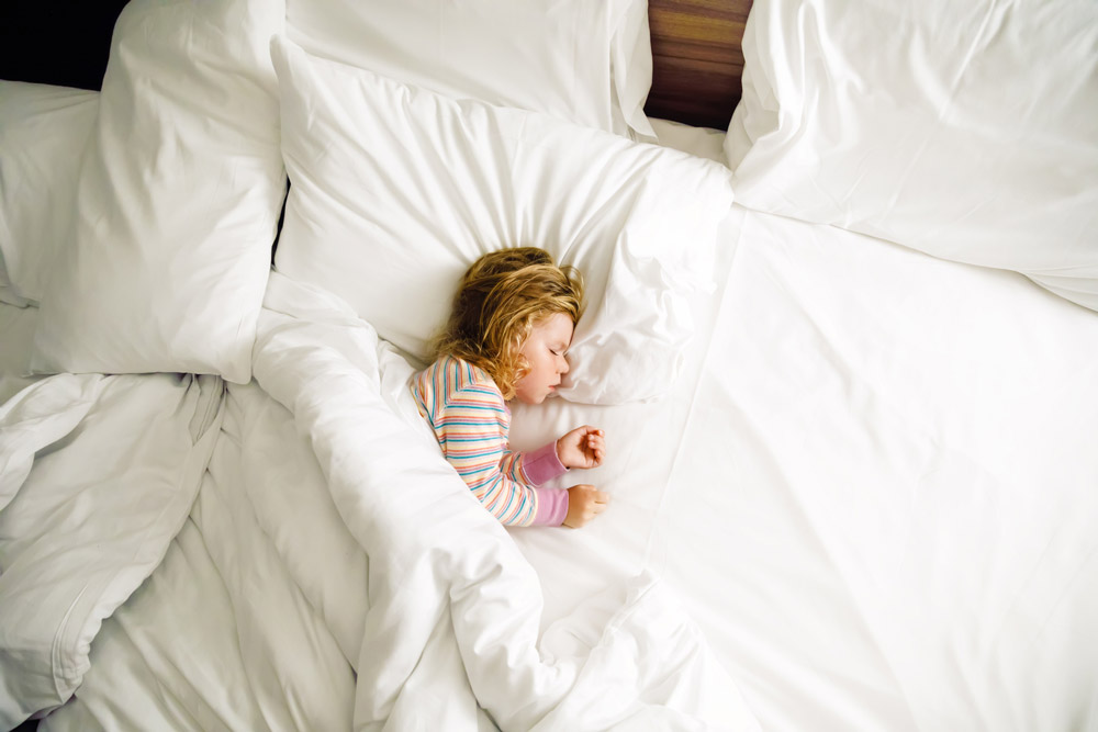 Toddler Pillow (Reviews) 5 Best Toddler Pillows in 2021